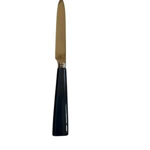 NEW Sabre Paris Icône Natura Matte Black Dinner Knife Stainless Steel France
